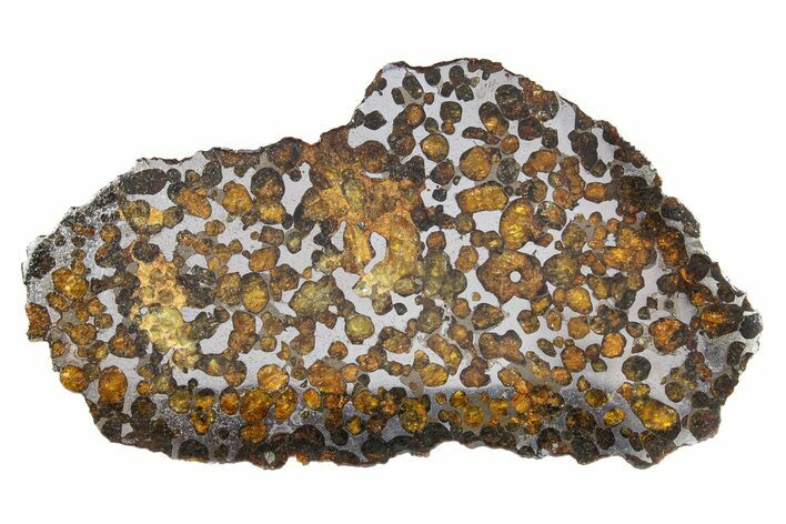 Polished Springwater Pallasite Meteorite ( g) Slice - Canada #301044